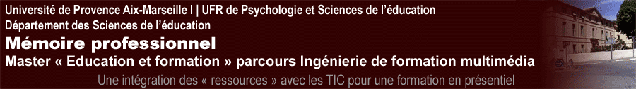 Mémoire professionnel | Master II Sciences de l'éducation