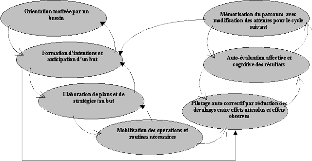 Cycle de l'activit (LINARD, 2001, p.10)